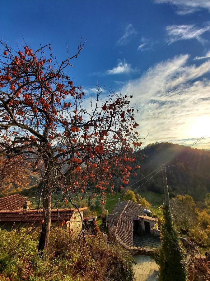 Il Convento Di Casola Casola in Lunigiana Exterior foto